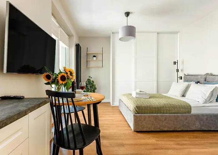 Apartment Plac Litewski Premium No. 12 Lublin